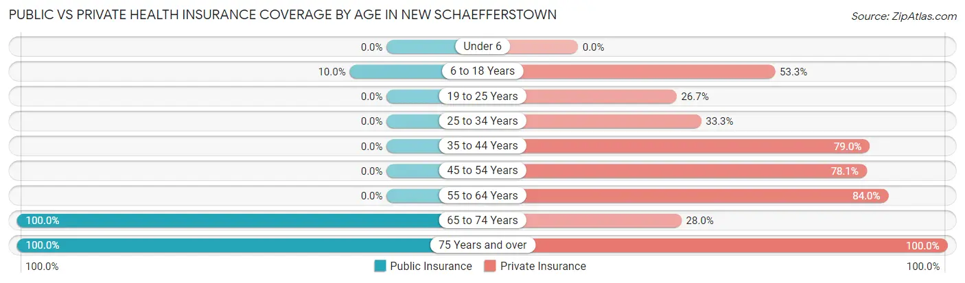 Public vs Private Health Insurance Coverage by Age in New Schaefferstown