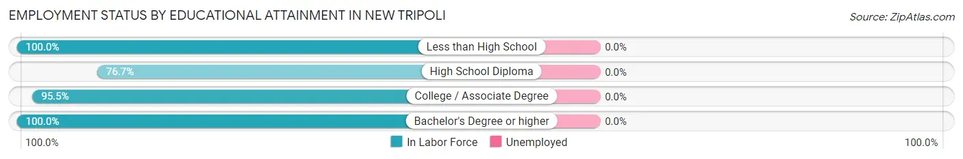 Employment Status by Educational Attainment in New Tripoli