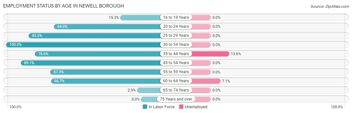 Employment Status by Age in Newell borough