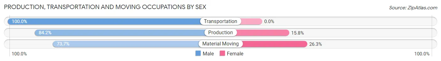 Production, Transportation and Moving Occupations by Sex in Newell borough