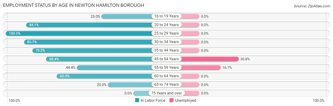 Employment Status by Age in Newton Hamilton borough