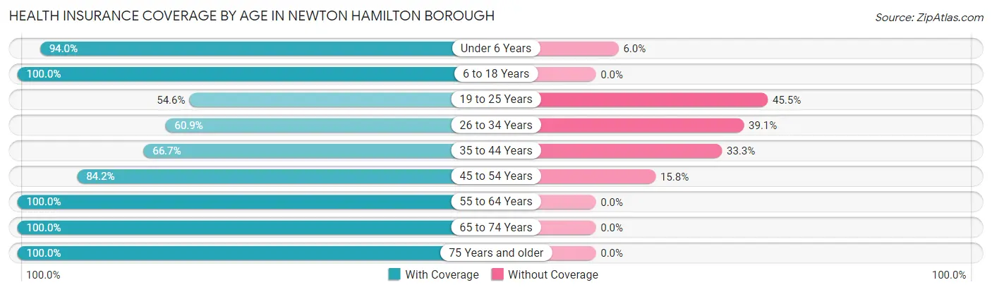 Health Insurance Coverage by Age in Newton Hamilton borough