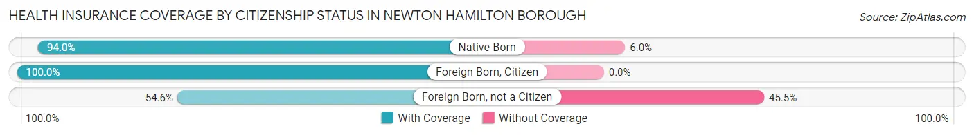 Health Insurance Coverage by Citizenship Status in Newton Hamilton borough