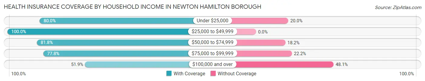 Health Insurance Coverage by Household Income in Newton Hamilton borough