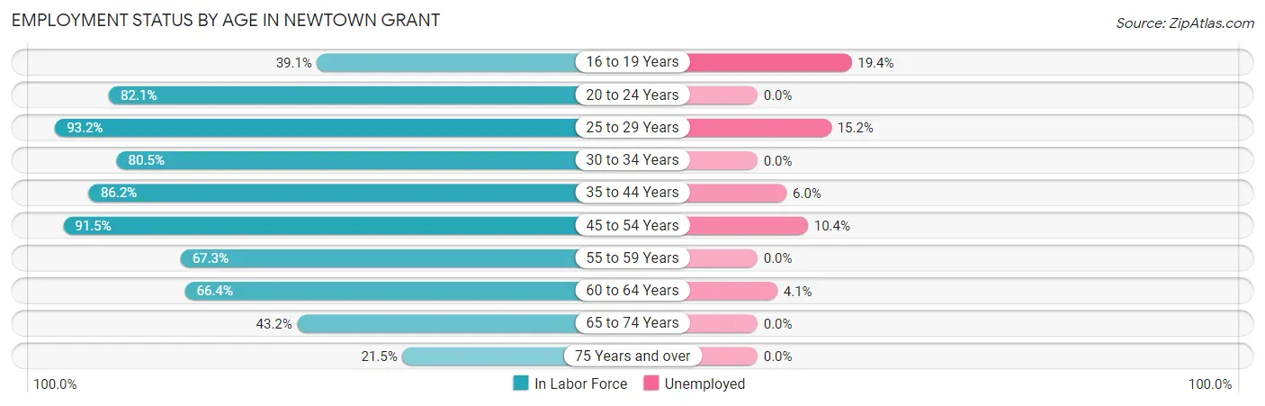 Employment Status by Age in Newtown Grant