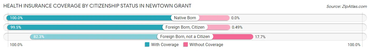 Health Insurance Coverage by Citizenship Status in Newtown Grant