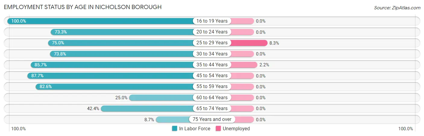 Employment Status by Age in Nicholson borough