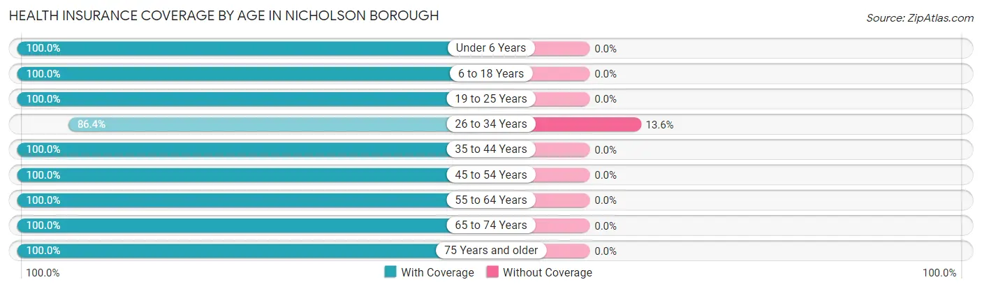 Health Insurance Coverage by Age in Nicholson borough