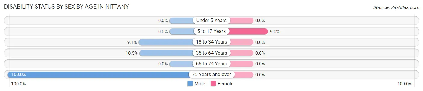 Disability Status by Sex by Age in Nittany