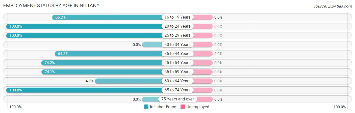 Employment Status by Age in Nittany