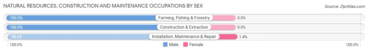Natural Resources, Construction and Maintenance Occupations by Sex in Norristown borough