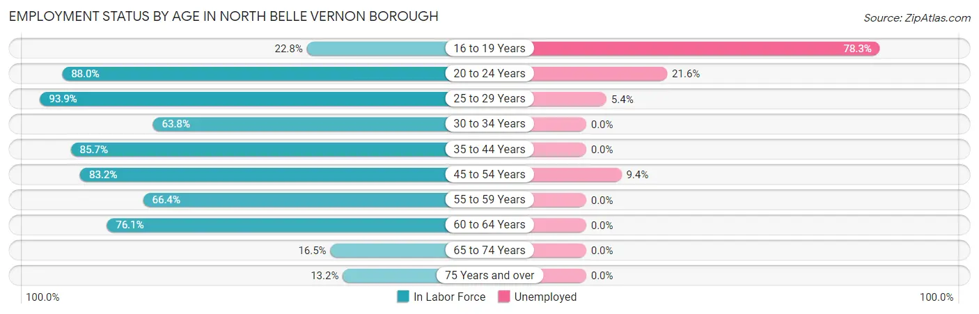 Employment Status by Age in North Belle Vernon borough