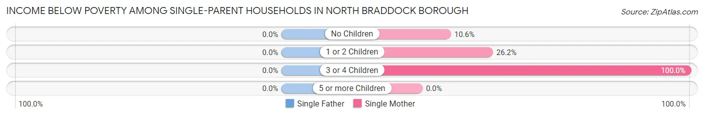 Income Below Poverty Among Single-Parent Households in North Braddock borough