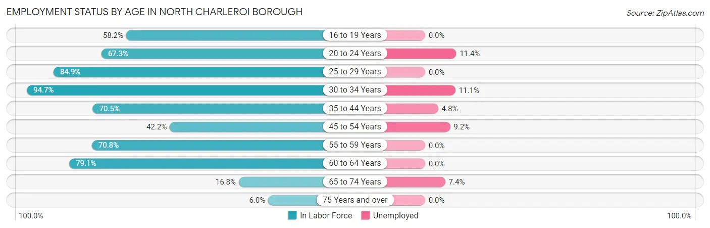 Employment Status by Age in North Charleroi borough