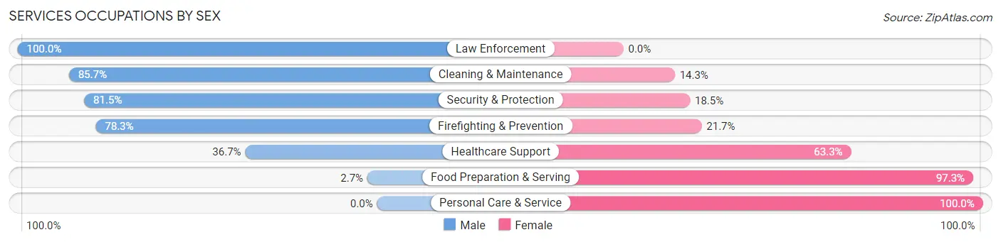 Services Occupations by Sex in North Charleroi borough