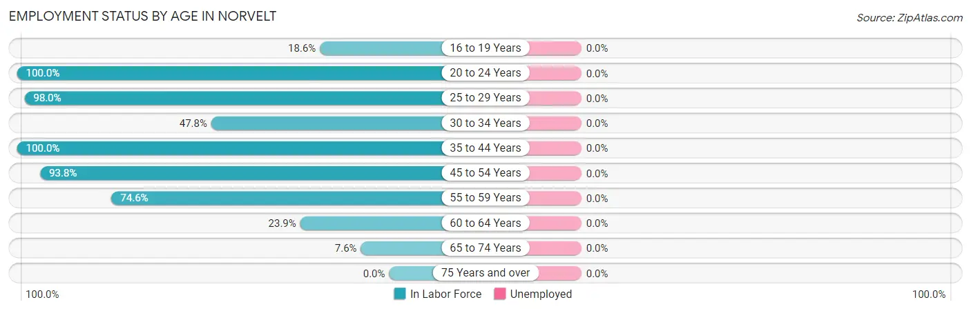 Employment Status by Age in Norvelt