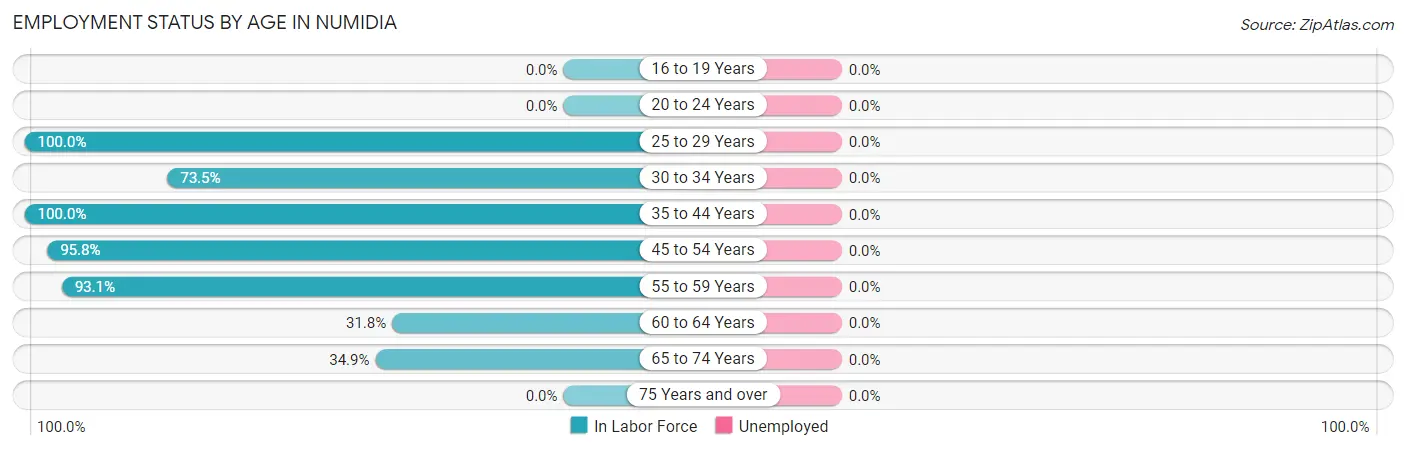 Employment Status by Age in Numidia