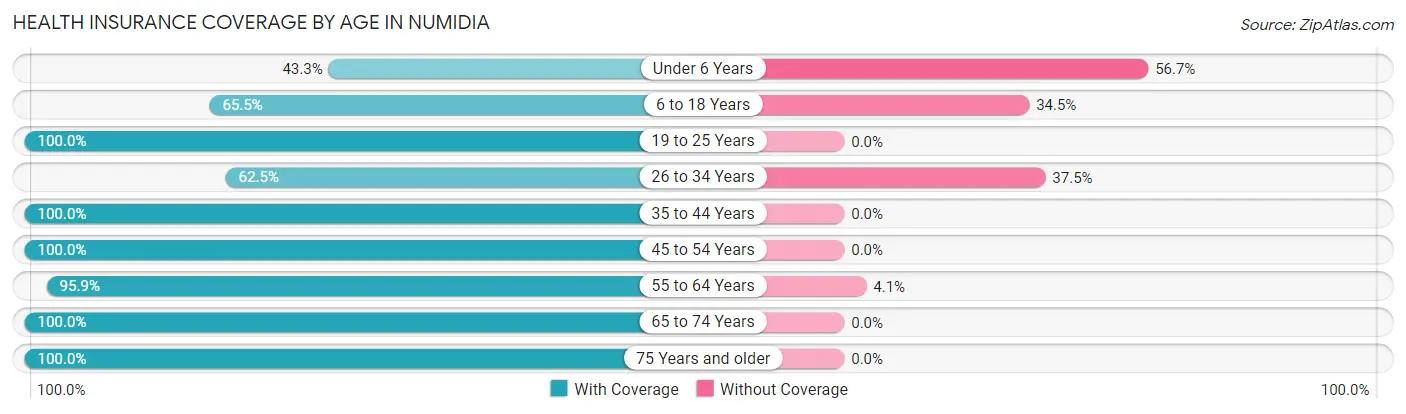 Health Insurance Coverage by Age in Numidia
