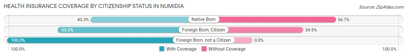 Health Insurance Coverage by Citizenship Status in Numidia