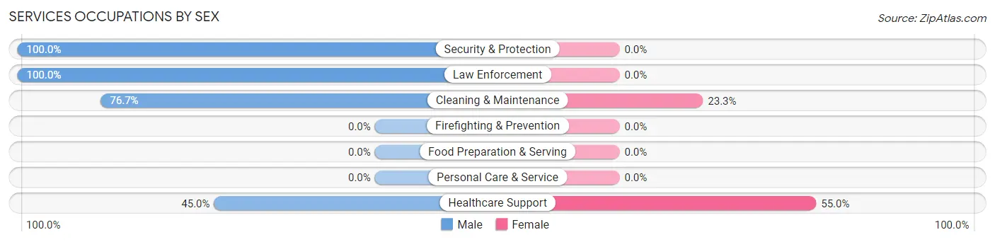 Services Occupations by Sex in Oakland CDP Cambria County