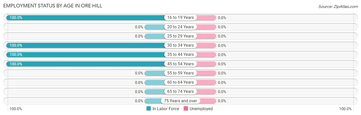 Employment Status by Age in Ore Hill