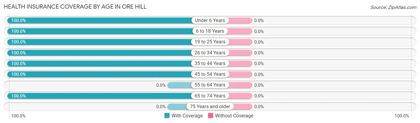Health Insurance Coverage by Age in Ore Hill