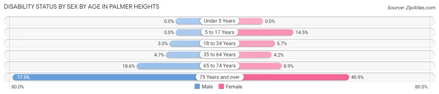 Disability Status by Sex by Age in Palmer Heights