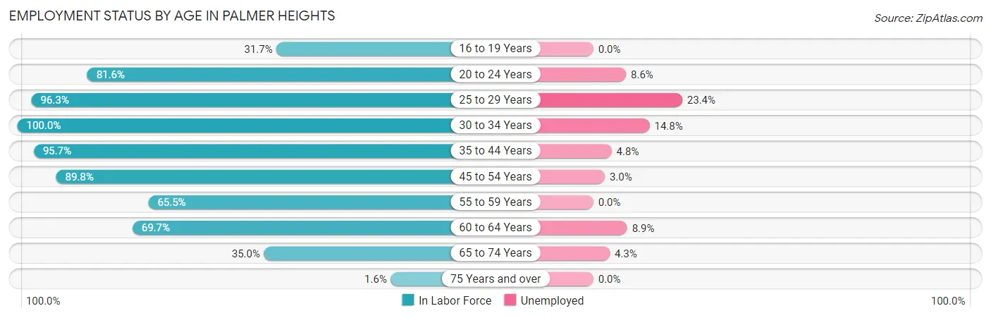 Employment Status by Age in Palmer Heights