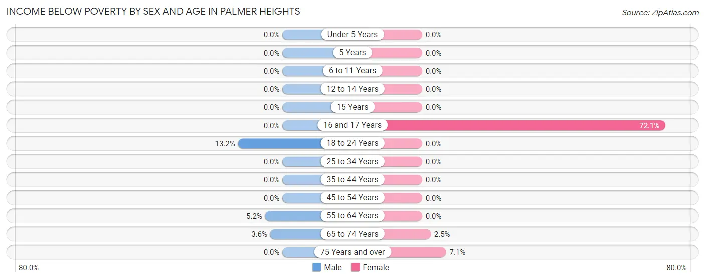 Income Below Poverty by Sex and Age in Palmer Heights