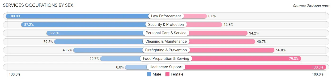 Services Occupations by Sex in Palmer Heights