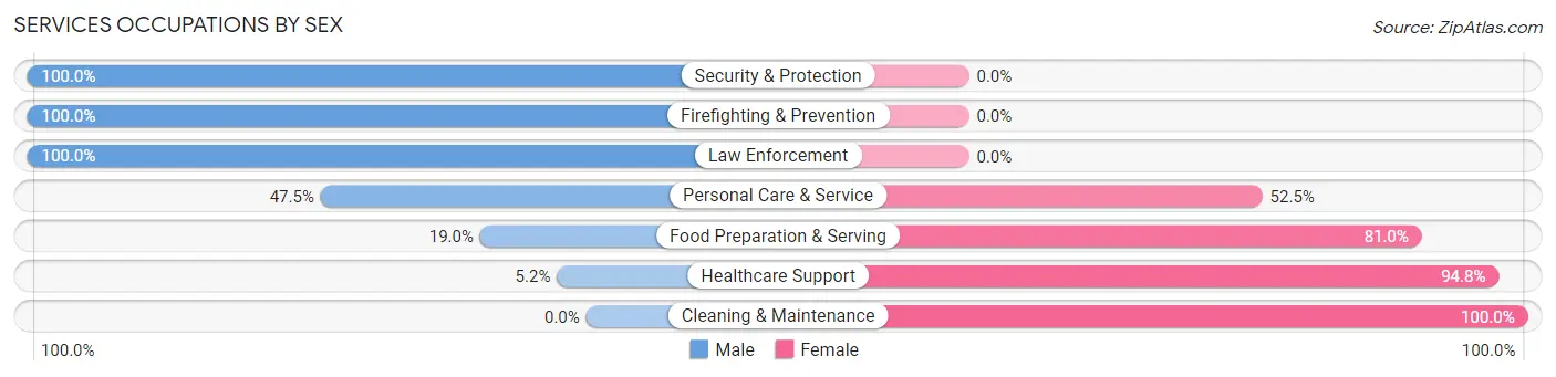 Services Occupations by Sex in Palmerton borough