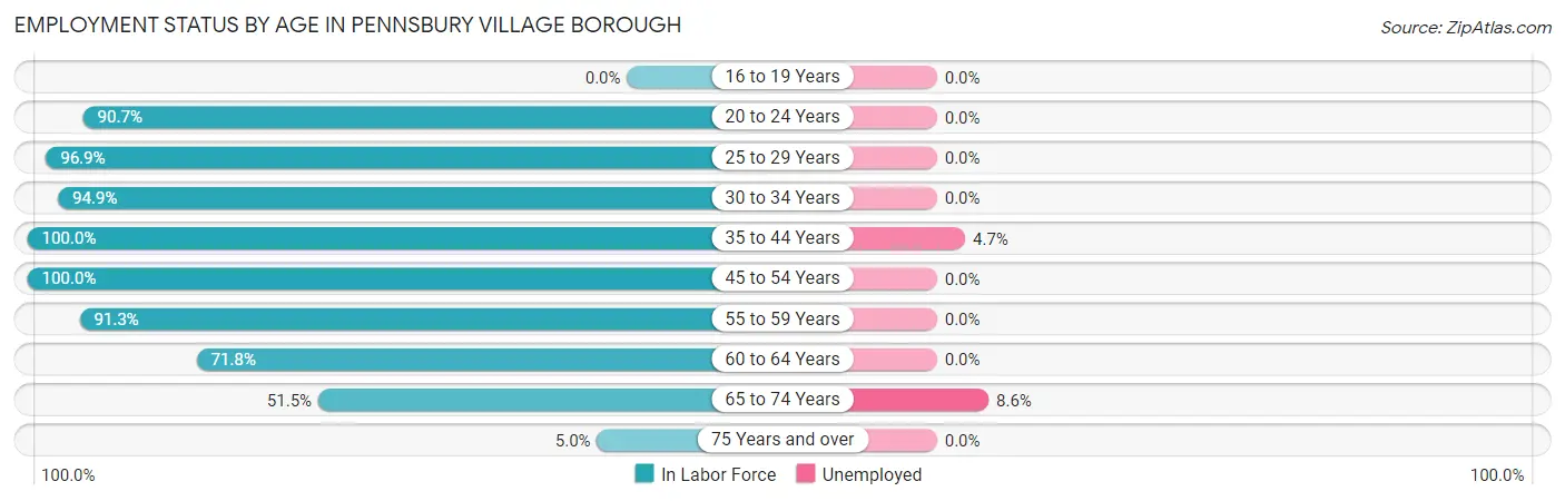 Employment Status by Age in Pennsbury Village borough