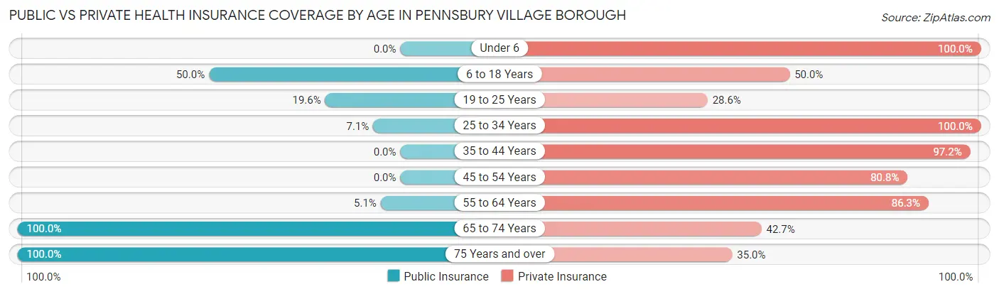 Public vs Private Health Insurance Coverage by Age in Pennsbury Village borough