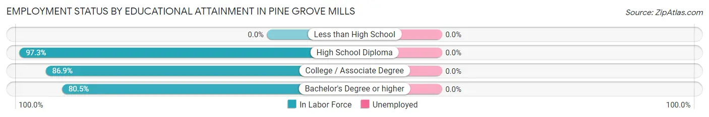 Employment Status by Educational Attainment in Pine Grove Mills