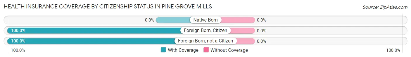 Health Insurance Coverage by Citizenship Status in Pine Grove Mills