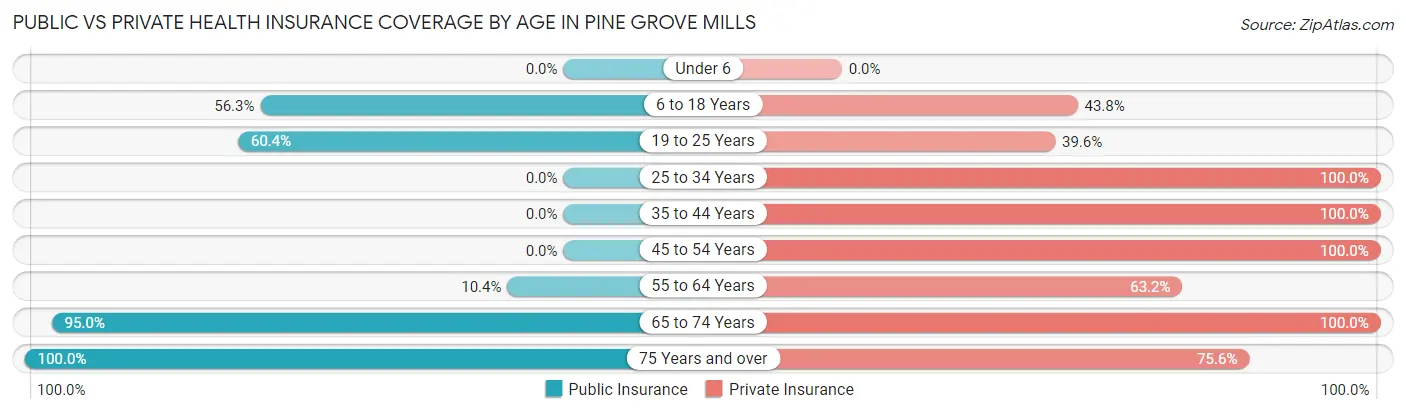 Public vs Private Health Insurance Coverage by Age in Pine Grove Mills