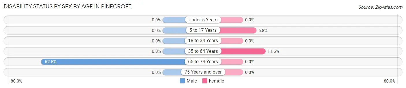 Disability Status by Sex by Age in Pinecroft