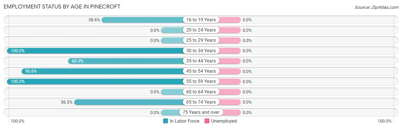 Employment Status by Age in Pinecroft