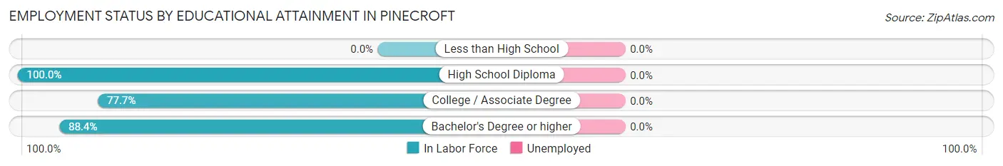 Employment Status by Educational Attainment in Pinecroft