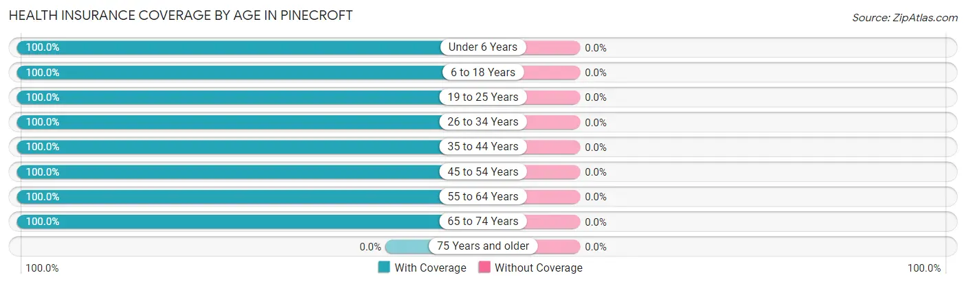 Health Insurance Coverage by Age in Pinecroft