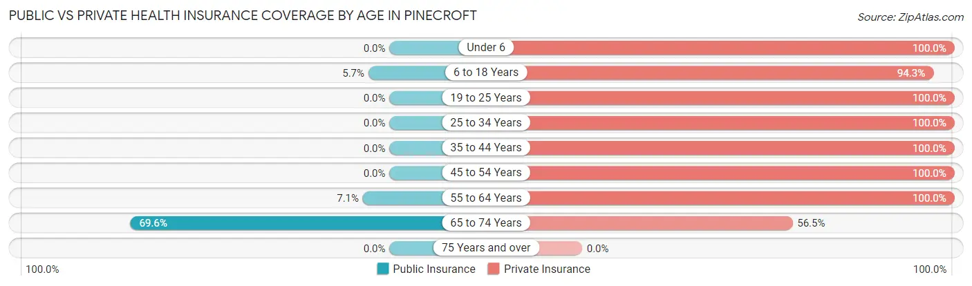 Public vs Private Health Insurance Coverage by Age in Pinecroft