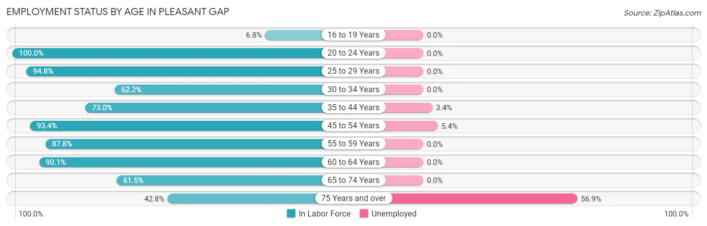 Employment Status by Age in Pleasant Gap
