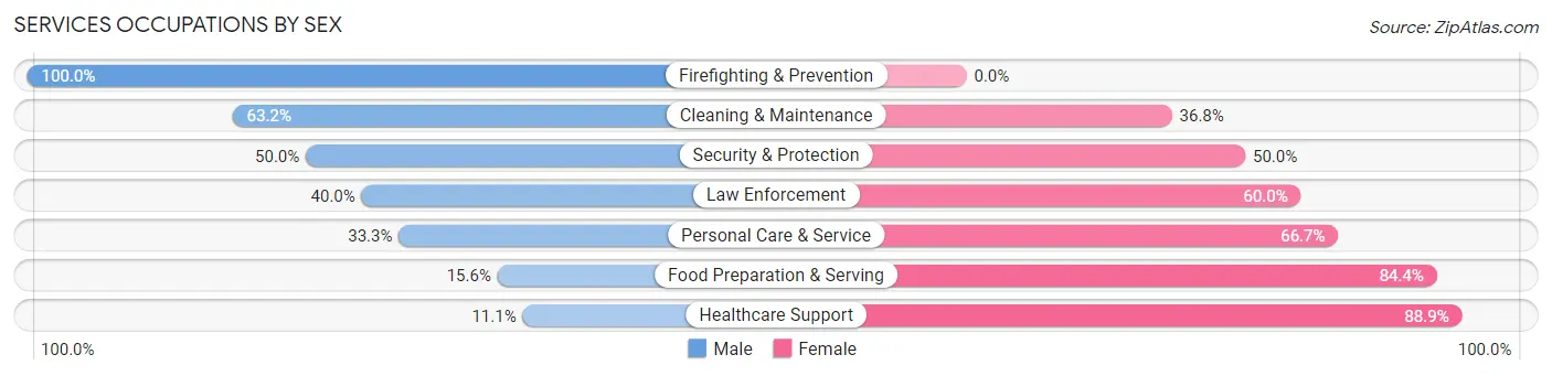 Services Occupations by Sex in Pleasantville borough Venango County