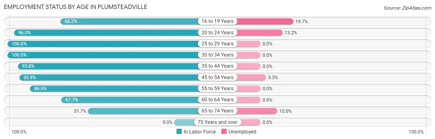 Employment Status by Age in Plumsteadville