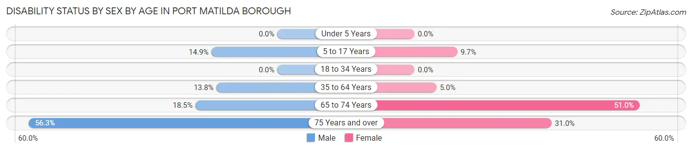 Disability Status by Sex by Age in Port Matilda borough