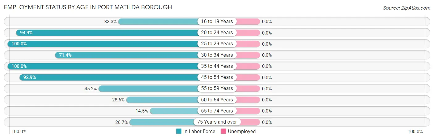 Employment Status by Age in Port Matilda borough