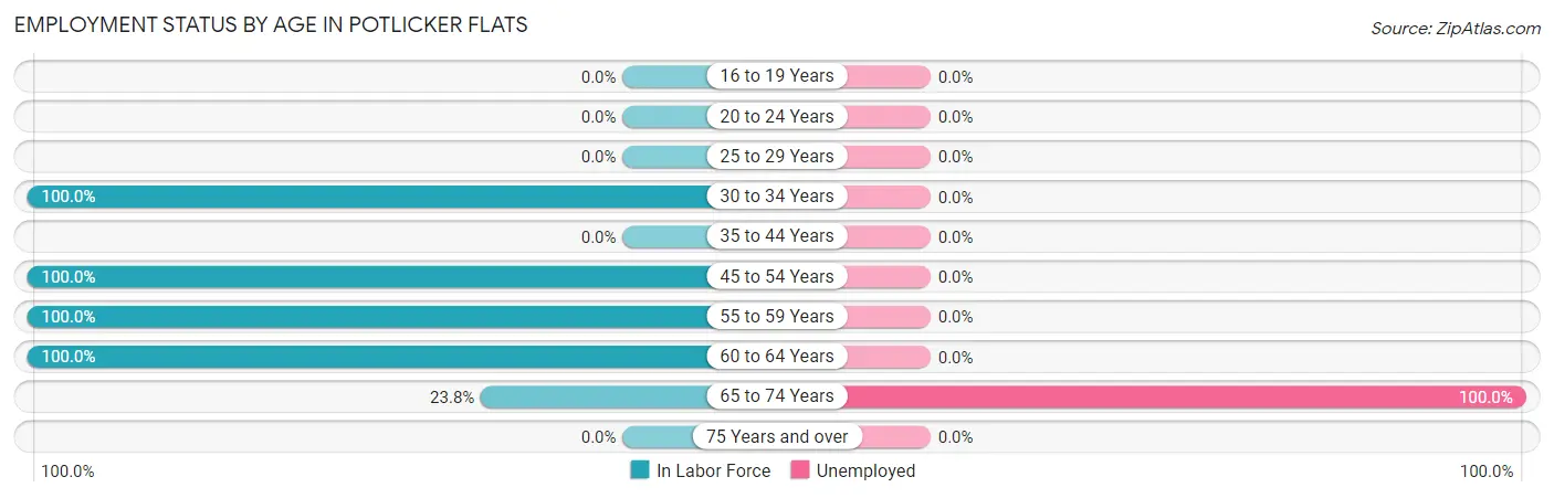 Employment Status by Age in Potlicker Flats