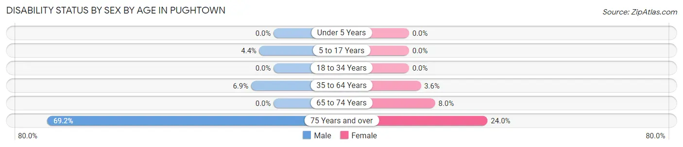 Disability Status by Sex by Age in Pughtown