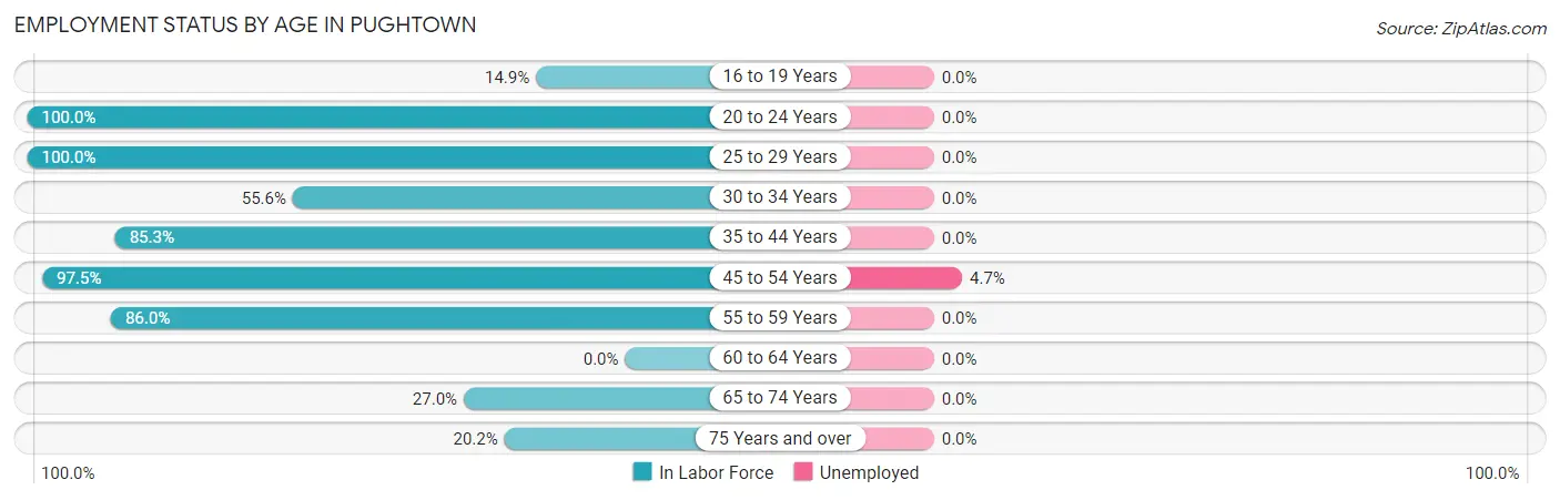 Employment Status by Age in Pughtown