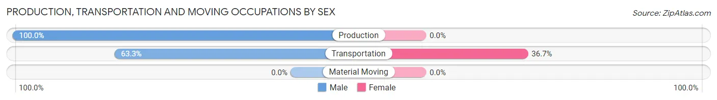 Production, Transportation and Moving Occupations by Sex in Pughtown
